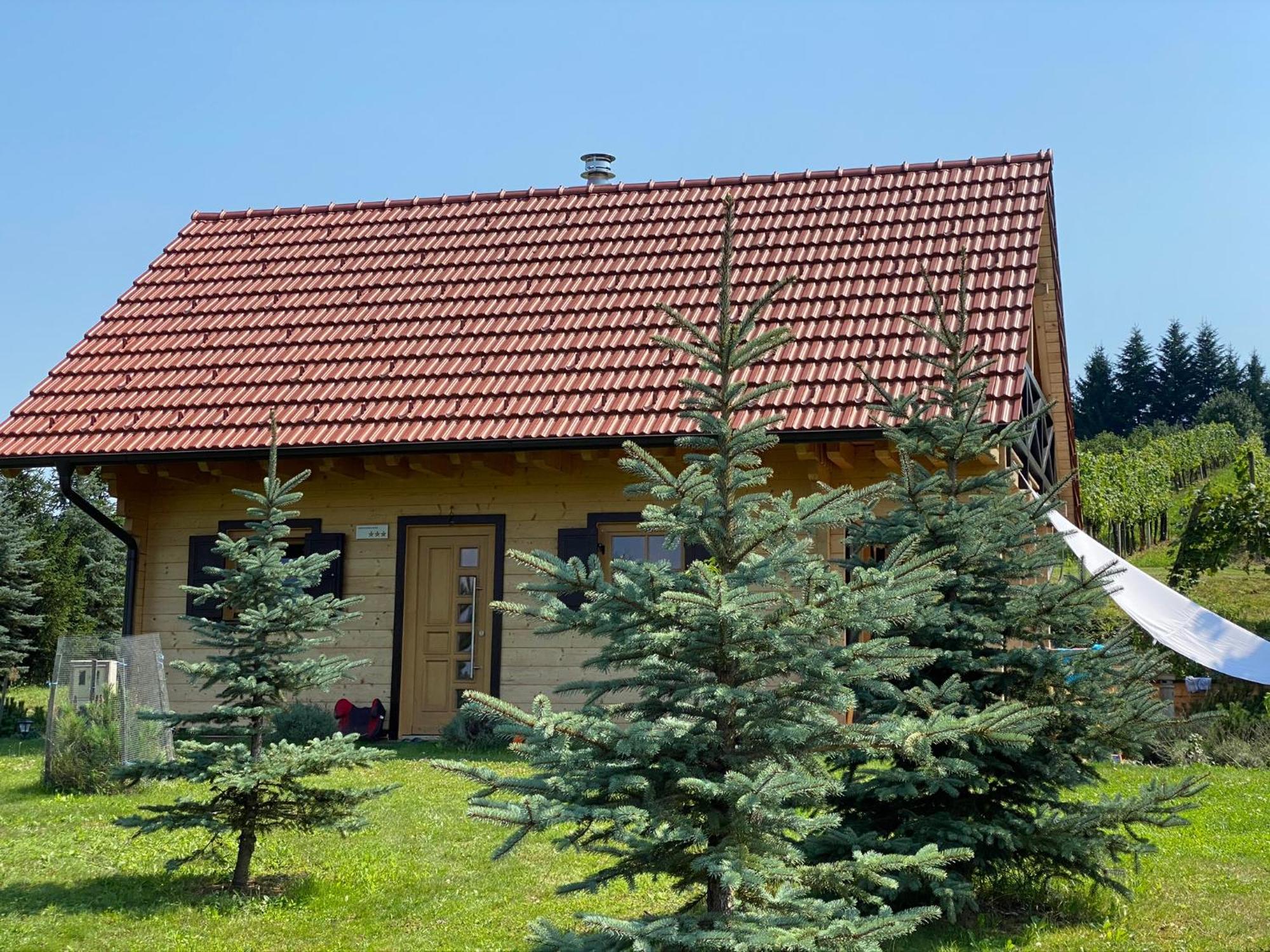 Loghouse Brunka - Escape From Life On A Highway Villa Gornja Radgona Esterno foto